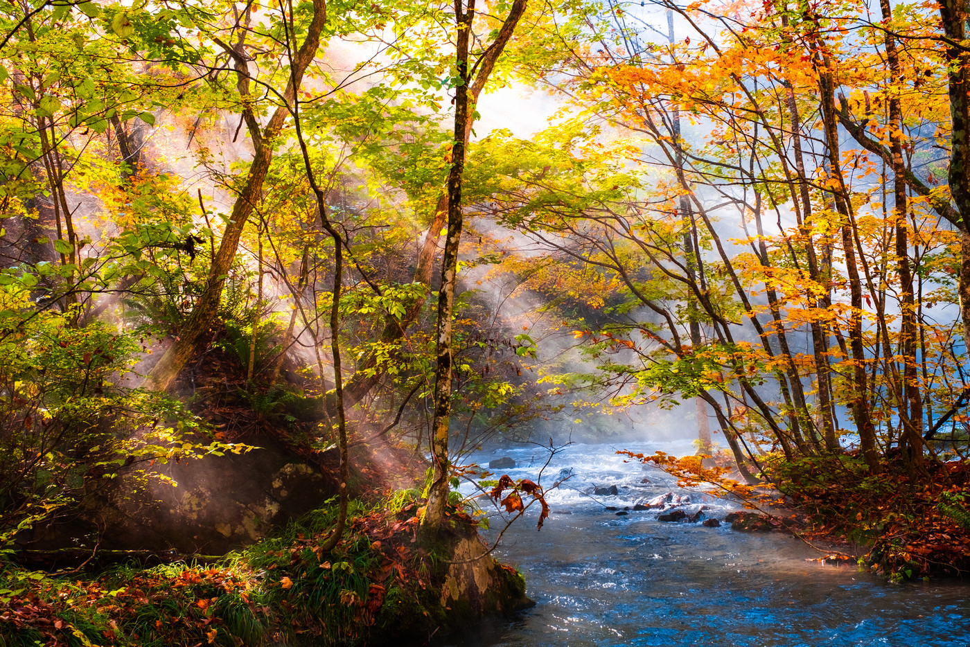 季節限定！大自然の紅葉を見に行こう3647330