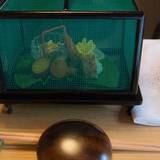 菊乃井 本店（キクノイ）