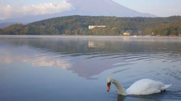 観光スポット / 1