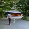ivukisakiさんの写真