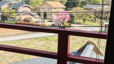 部屋からの景観 / 13