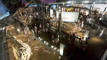 観光スポット / 11