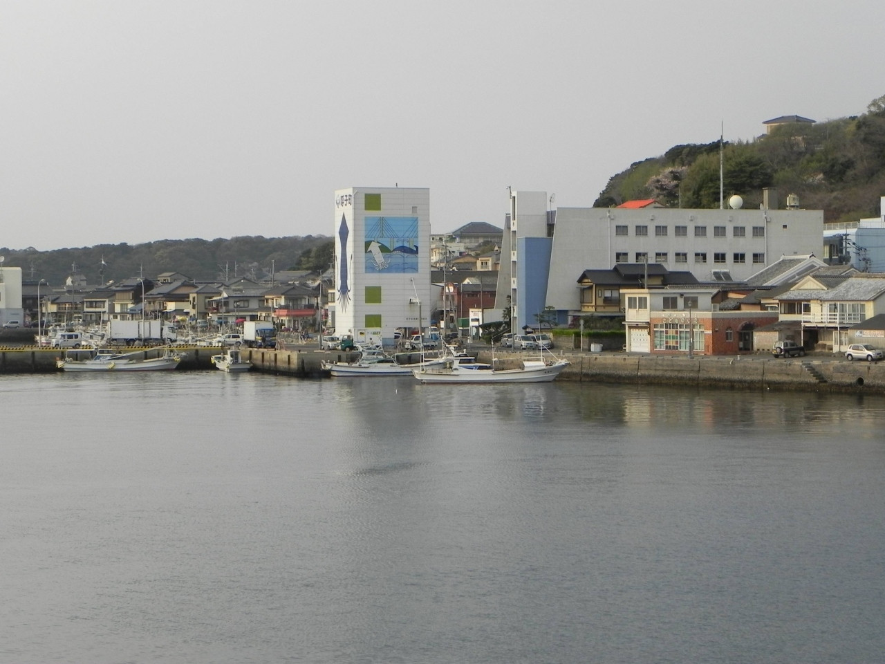 割烹旅館で味わう呼子のイカの活き造り4760222