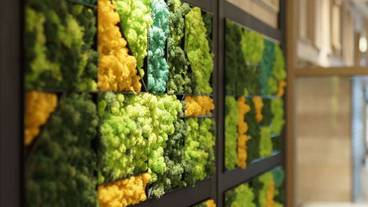 内装の詳細 / 17