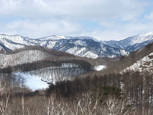 yuki_no_teshigotoさんの写真 / 1