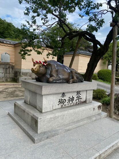 7_na_3さんの写真 / 2