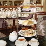 ドリーマーズ・ラウンジ（ドリーマーズラウンジ）