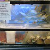 和食処 こばやし（ワショクドコロコバヤシ）