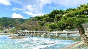 観光スポット / 6