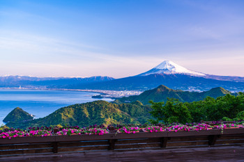 [Shizuoka] Mt. Fuji from the peak of Mt. Katsuragi in spring