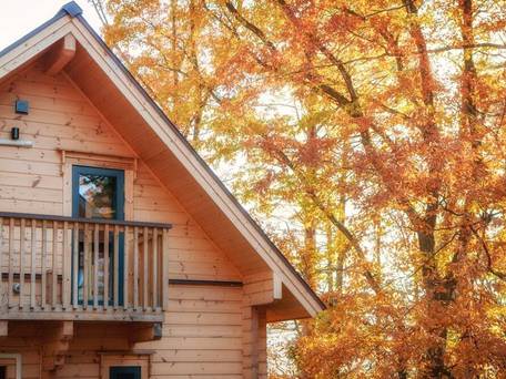 ワダノウッズ / 2