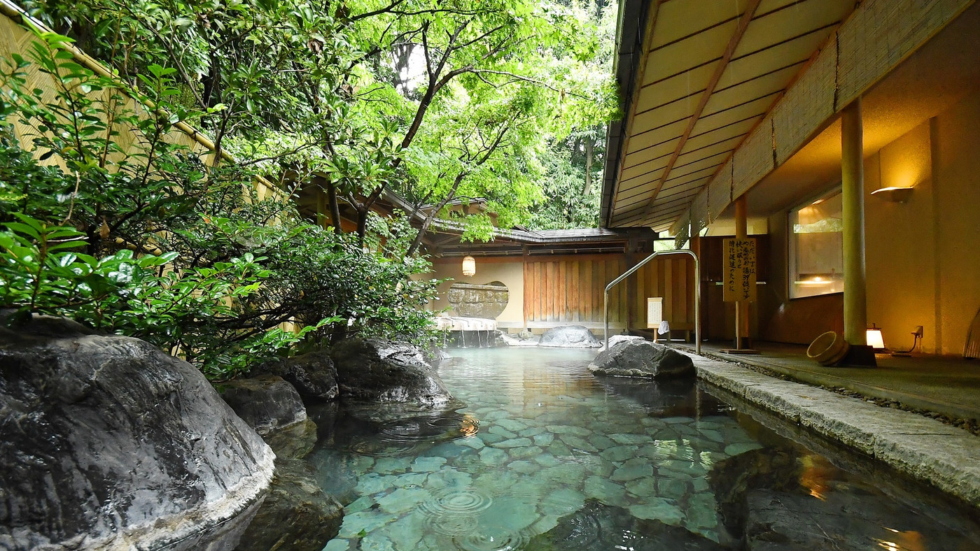 選べる食事が嬉しい♪伊東の山々を望む和風旅館4240747