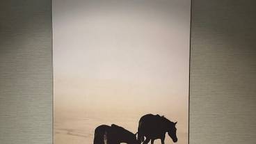 施設内の設備 / 9