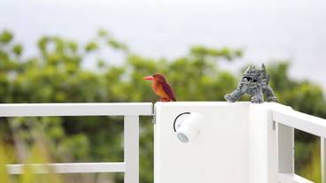 施設からの眺望 / 14