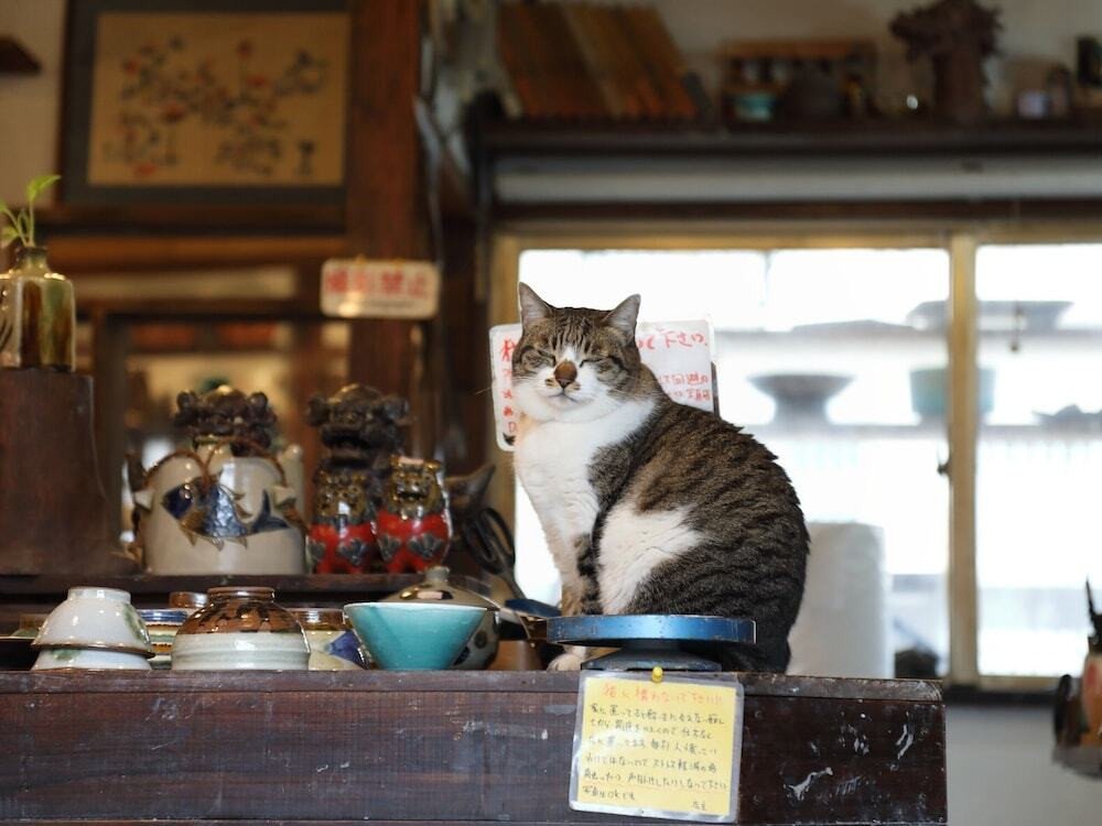 ショッピングモール