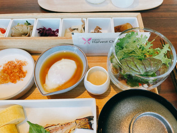 「炅」 料理 202936755 