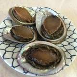 海女小屋体験 磯人（アマゴヤタイケンイソド）