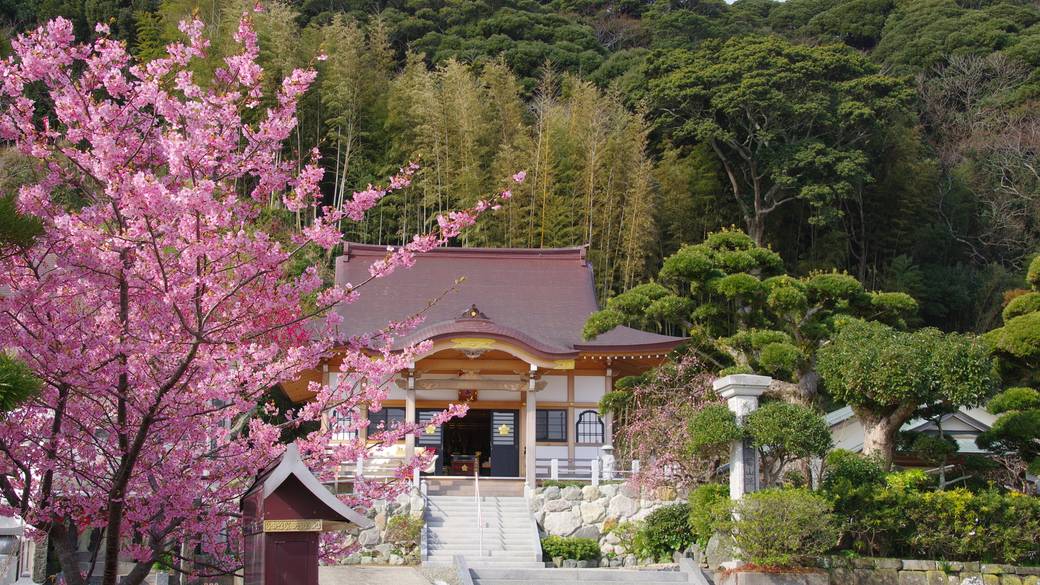 「能蔵院」で
心安らぐひと時を / 1