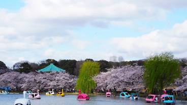 観光スポット / 6