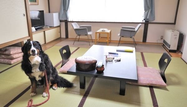 蔵王温泉 最上高湯 善七乃湯（旧：蔵王温泉 大平ホテル）（山形県 旅館） / 1