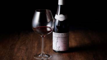 レストラン / 14