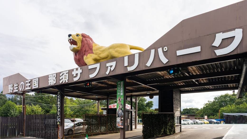 那須サファリパーク / 1