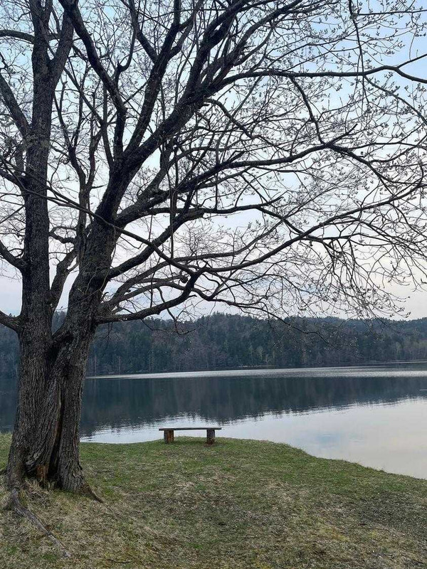 mihozonoさんの写真 / 2