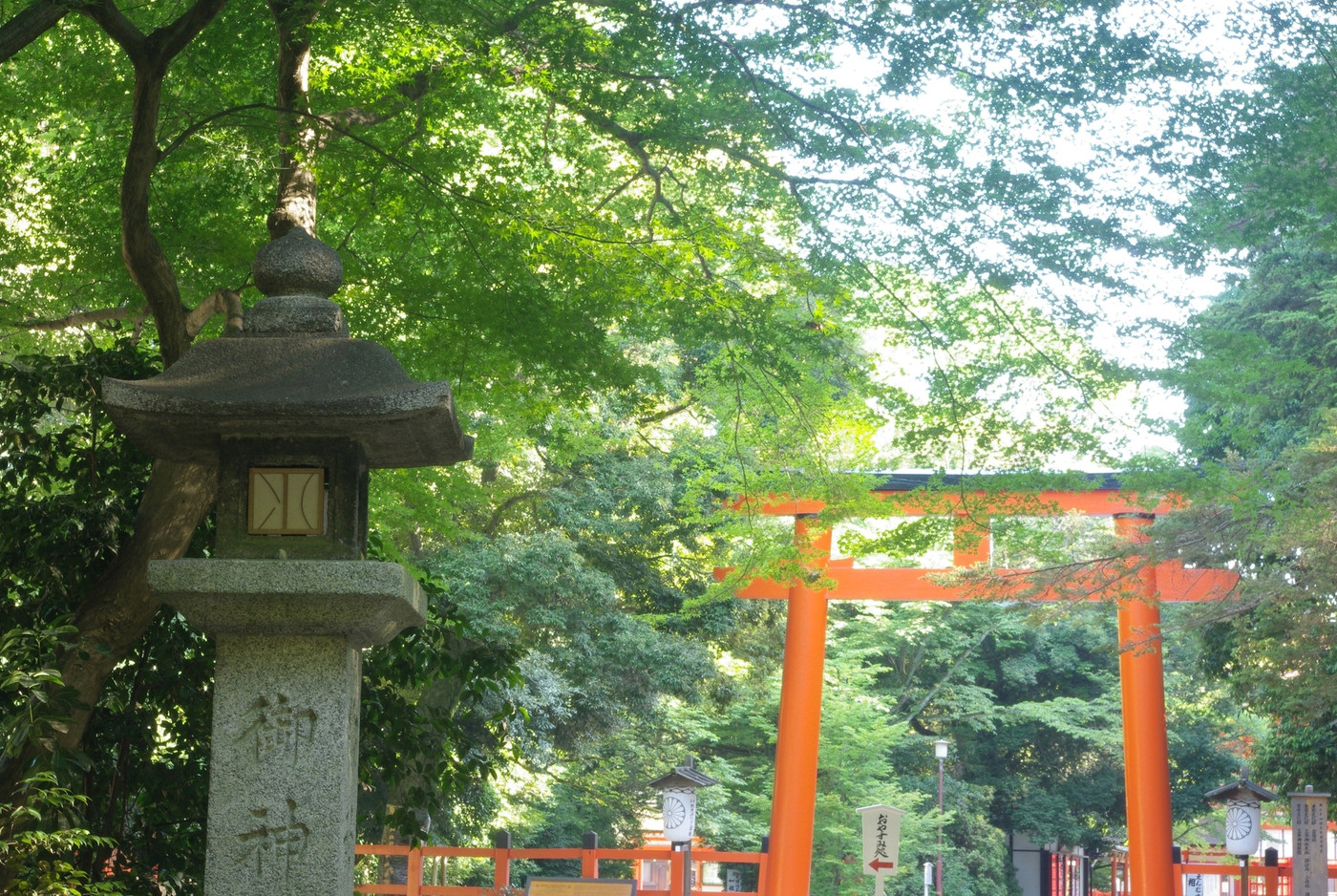 下鴨神社の鳥居