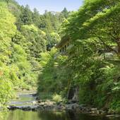 渓谷別庭 もちの木（千葉県 旅館） / 4