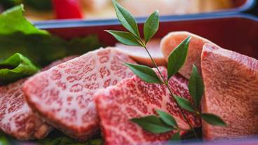 食事・飲み物 / 6