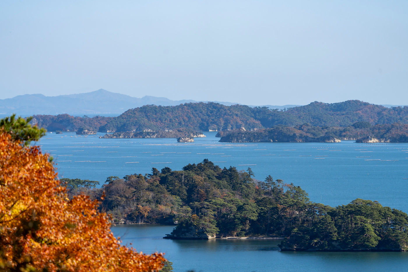 秋の日本三景松島　西行戻しの松公園からの俯瞰　宮城県松島町