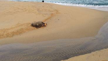 施設からの眺望 / 16