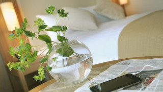 モデレートダブル 禁煙