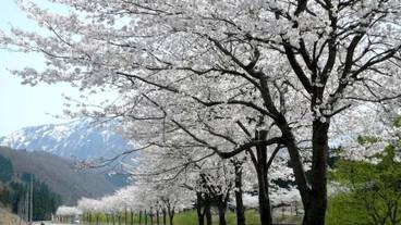 施設の敷地 / 28