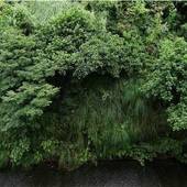 松之山温泉 酒の宿 玉城屋（新潟県 旅館） / 3