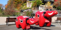【会津柳津町】「赤べこ」発祥の地へ♡おすすめホテル・旅館3選＋番外編