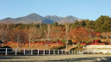 マウンテン ビュー / 11