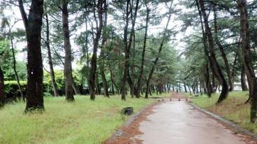 施設の敷地 / 18