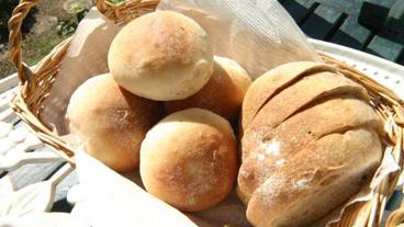 レストラン / 10