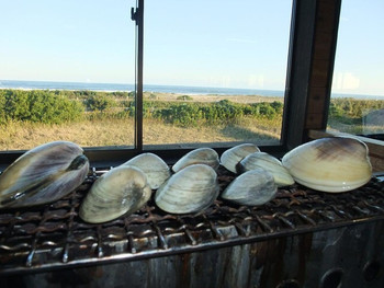 「浜茶屋網元」料理 679005 