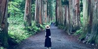 癒しと元気をもらいに行こう。神秘のパワースポット「戸隠神社」へ詣でるプラン【長野】