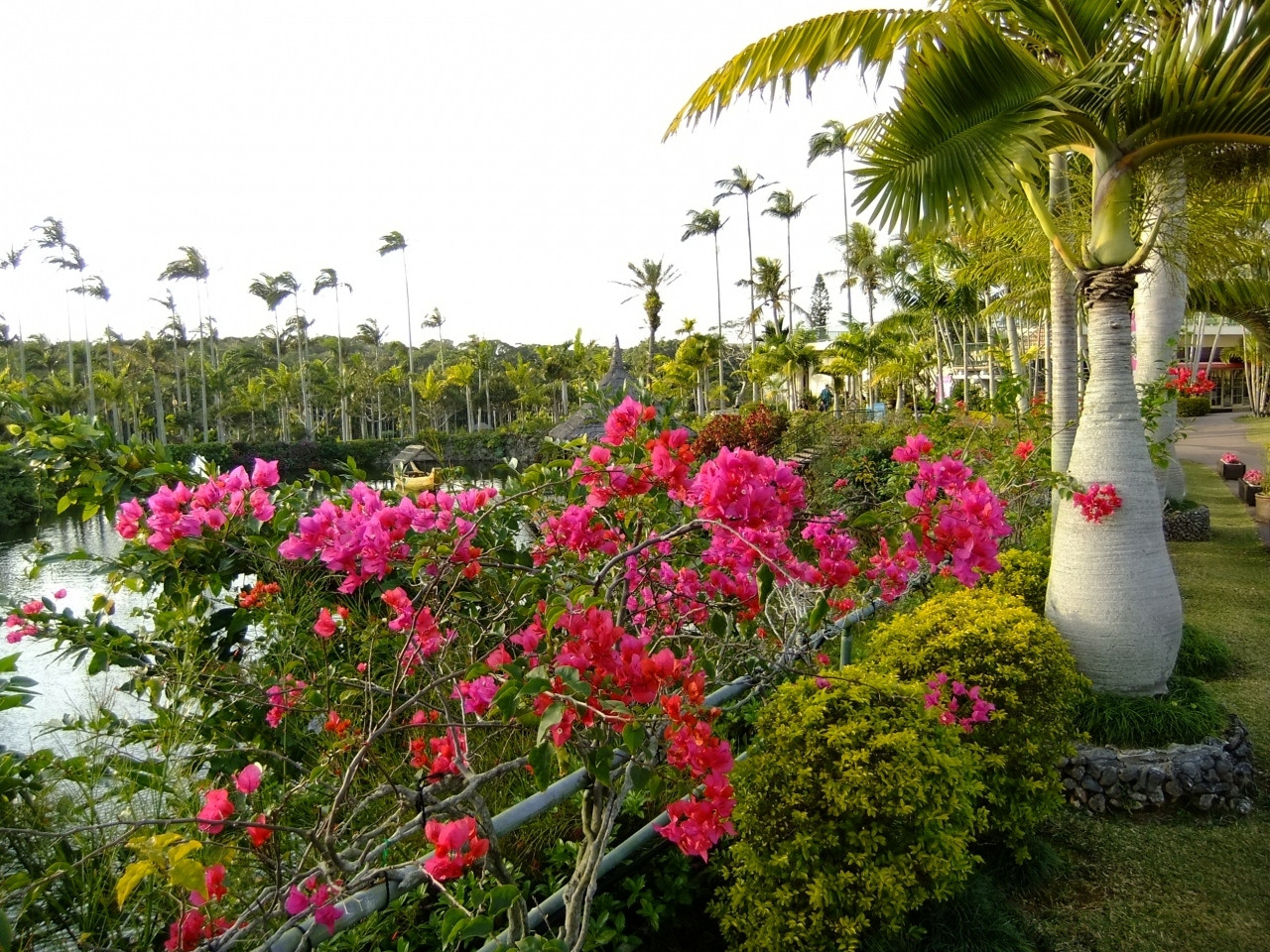 一年を通じて楽しめる沖縄の植物を満喫しよう!1065270