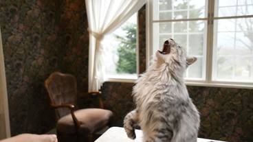 施設内の設備 / 2