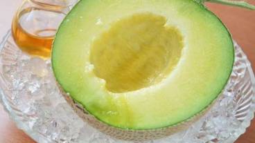 食事・飲み物 / 23