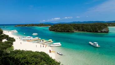 ビーチ / オーシャン ビュー / 17