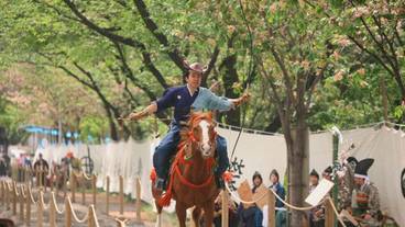 シティ ビュー / 7