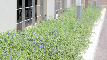 施設の敷地 / 40