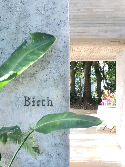 Birth the suite(バース ザ スイート) / 1