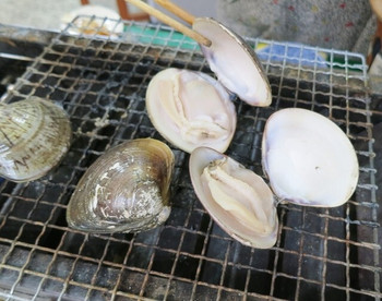 「貝新フーズ」 料理 37568967 焼き蛤がパカーンと開きました☆