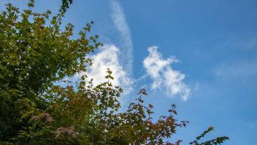 テラス / パティオ / 14